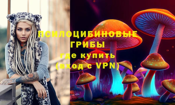 2c-b Володарск