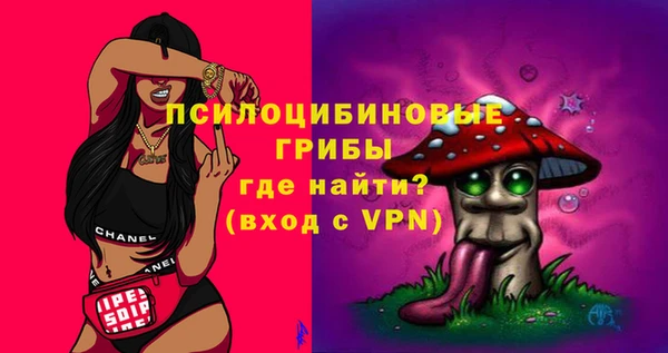 крисы Верхний Тагил